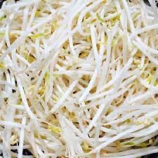 Bean sprouts 绿豆芽/包