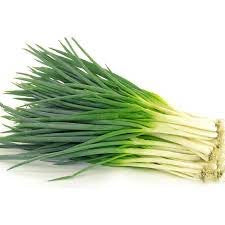 Green Onion 小葱