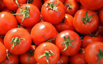 Tomato 新鲜番茄/kg